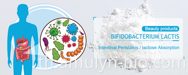 Bifidobacterium lactis powder banner